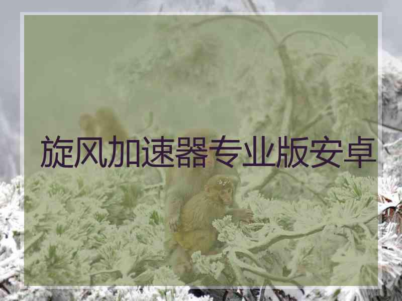 旋风加速器专业版安卓