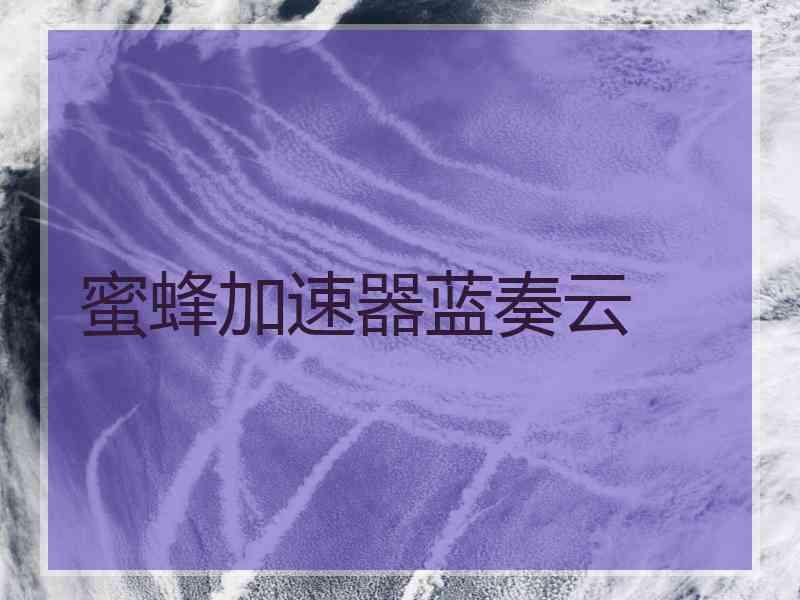 蜜蜂加速器蓝奏云