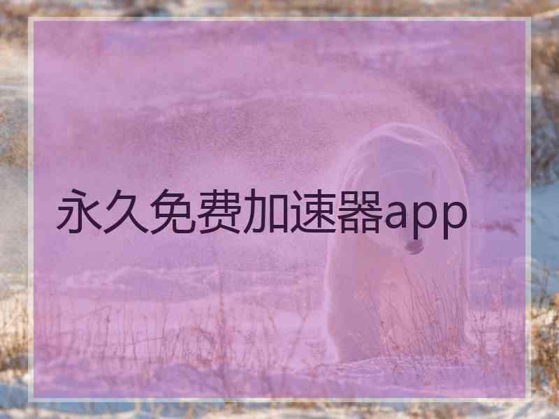 永久免费加速器app