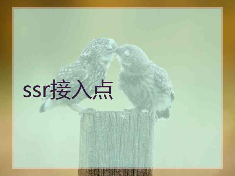 ssr接入点