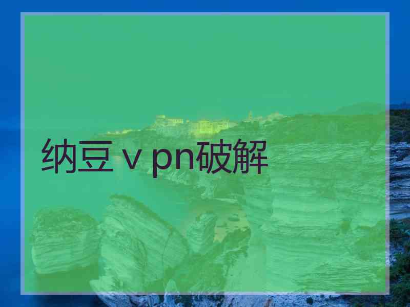 纳豆ⅴpn破解