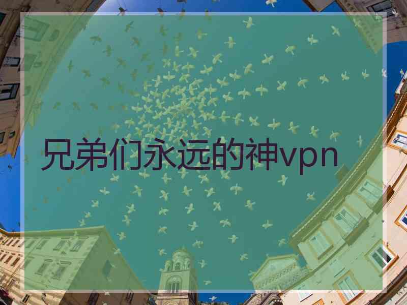 兄弟们永远的神vpn