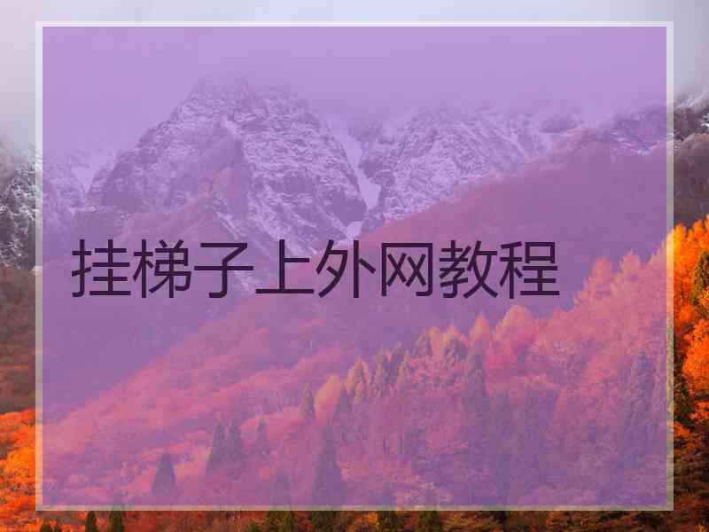 挂梯子上外网教程