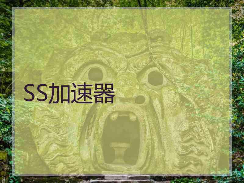 SS加速器