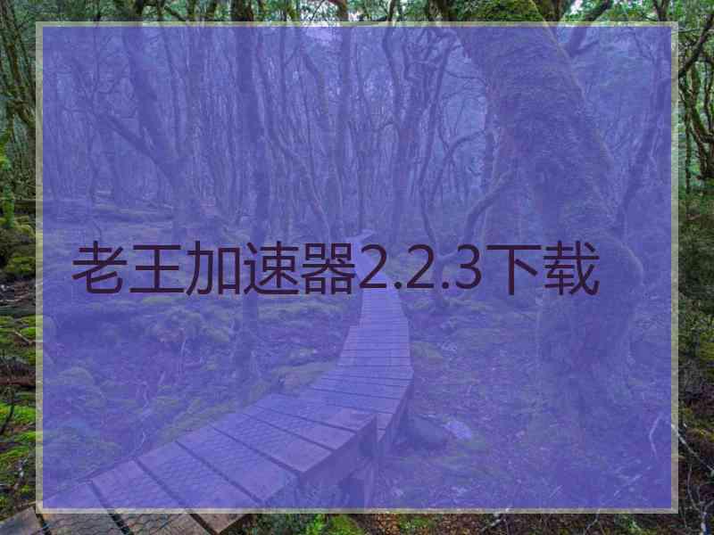 老王加速器2.2.3下载