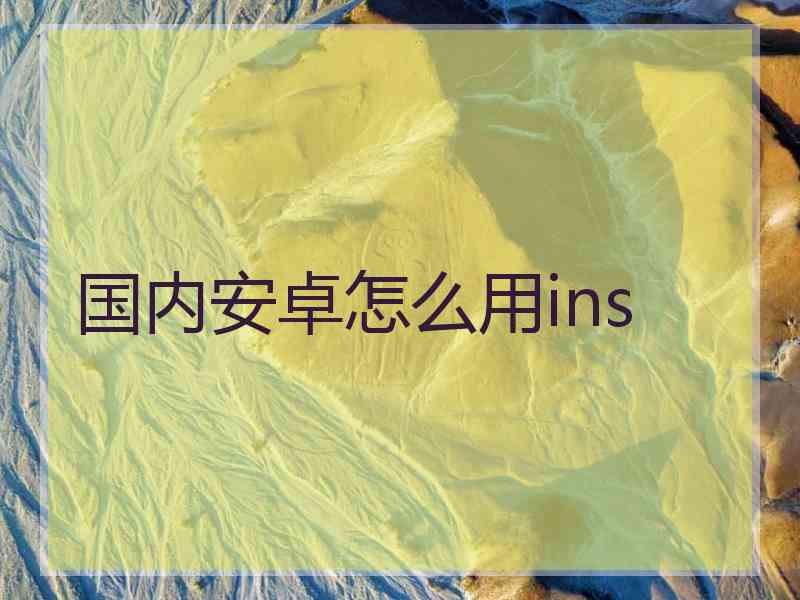 国内安卓怎么用ins