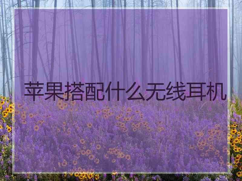 苹果搭配什么无线耳机