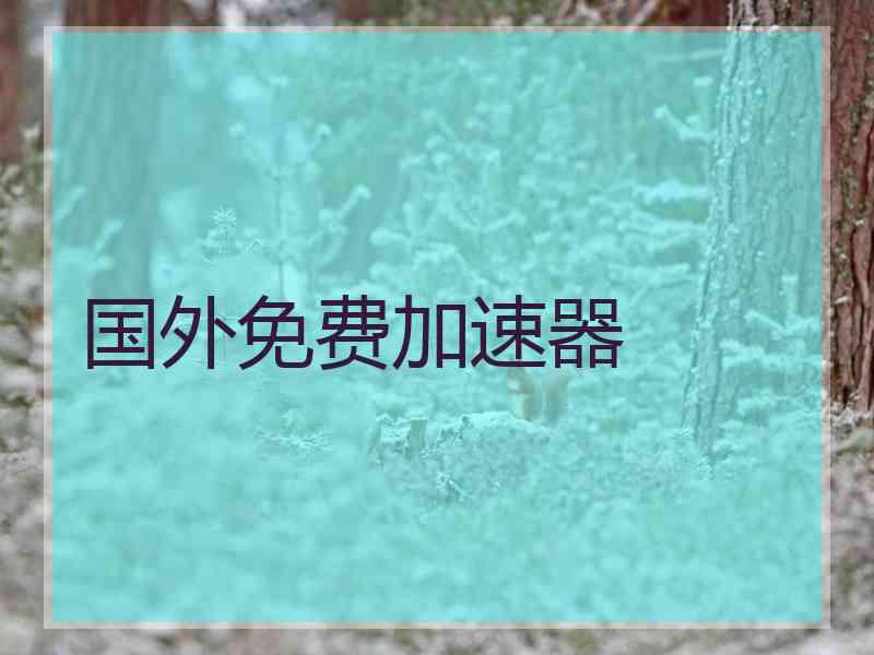国外免费加速器