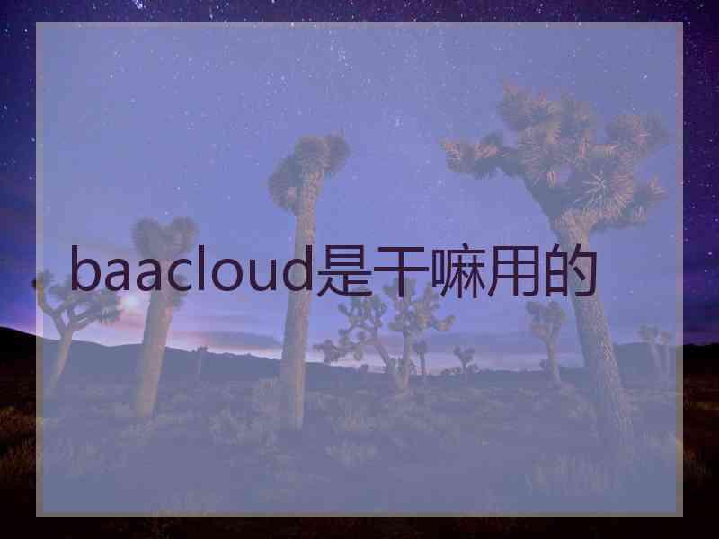baacloud是干嘛用的