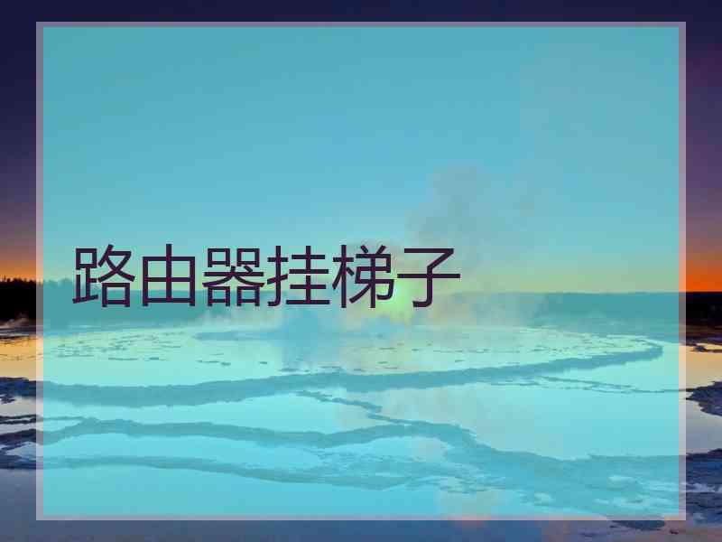 路由器挂梯子