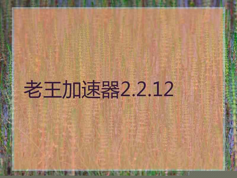 老王加速器2.2.12