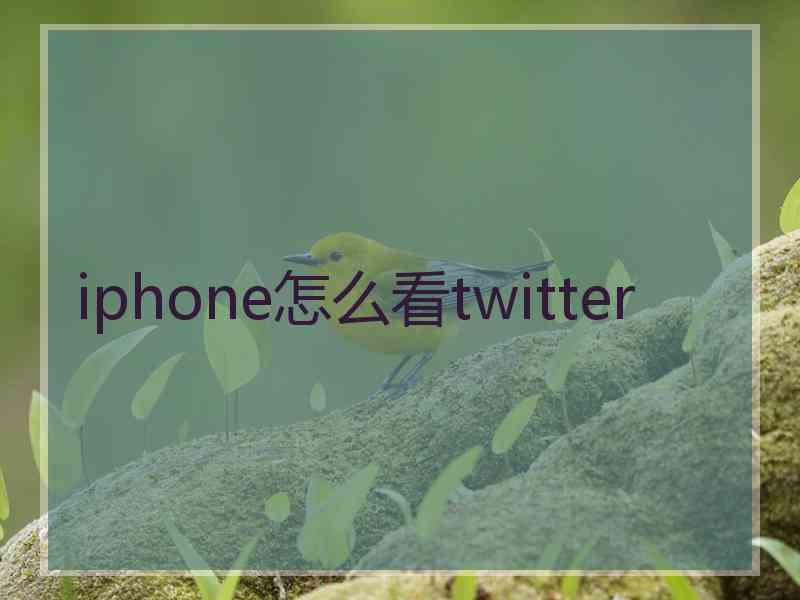 iphone怎么看twitter
