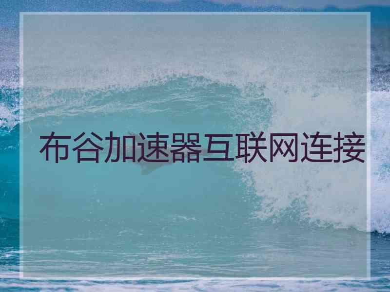 布谷加速器互联网连接