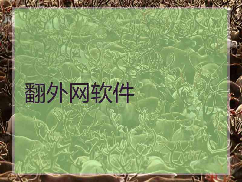 翻外网软件