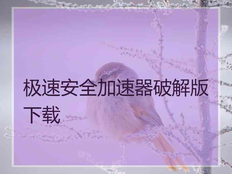 极速安全加速器破解版下载
