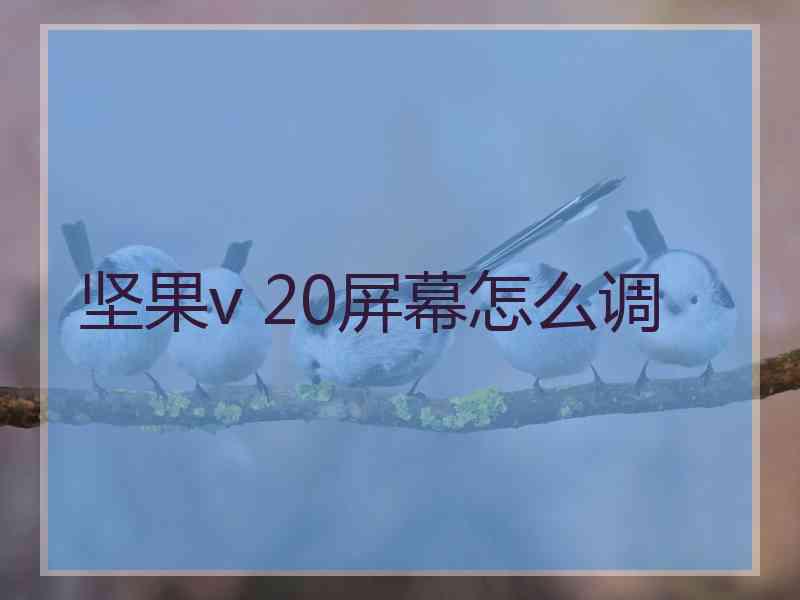 坚果v 20屏幕怎么调
