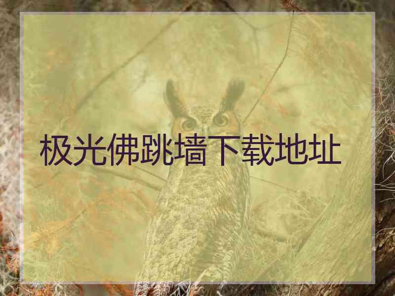 极光佛跳墙下载地址