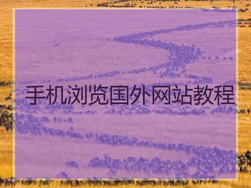 手机浏览国外网站教程