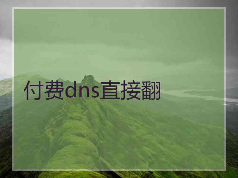 付费dns直接翻