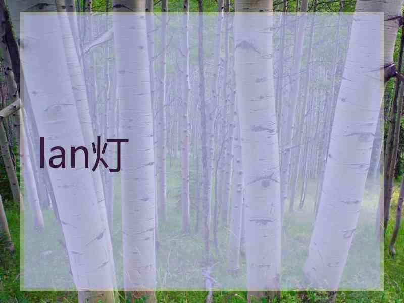 lan灯