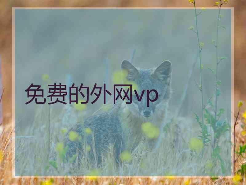 免费的外网vp