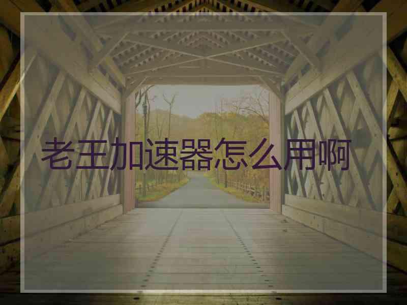 老王加速器怎么用啊