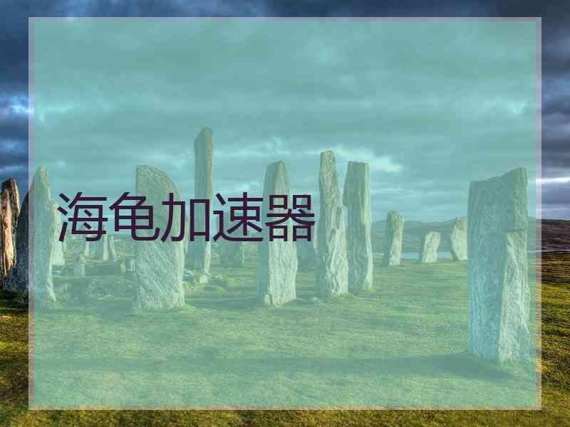 海龟加速器