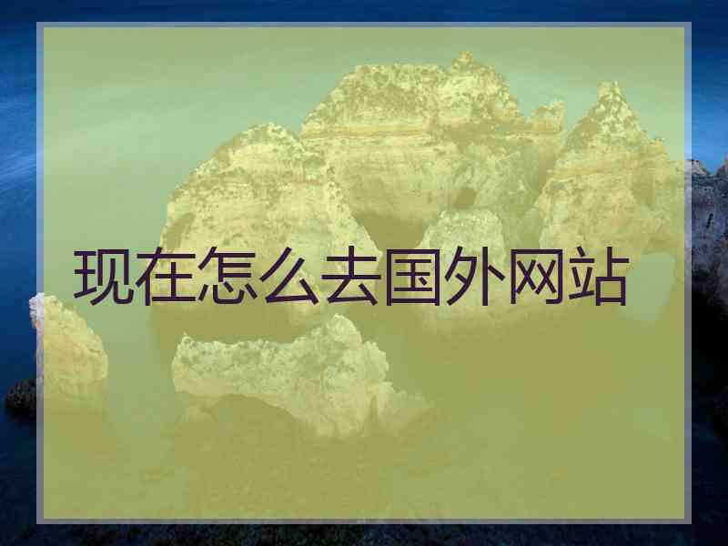 现在怎么去国外网站