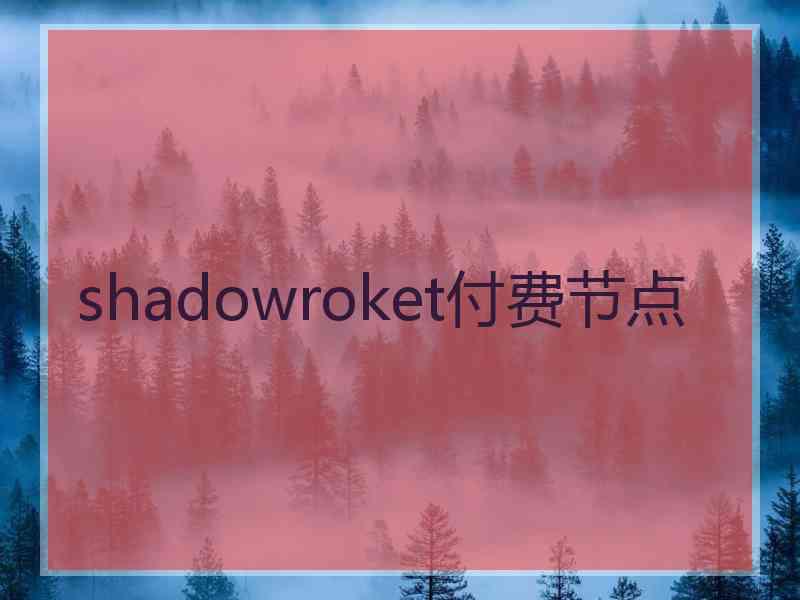 shadowroket付费节点