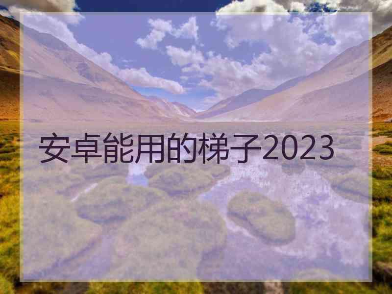 安卓能用的梯子2023