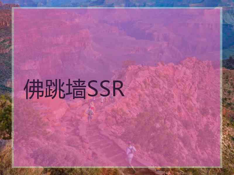 佛跳墙SSR
