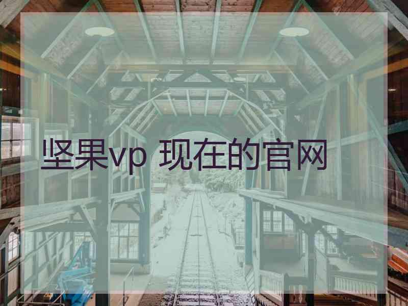 坚果vp 现在的官网
