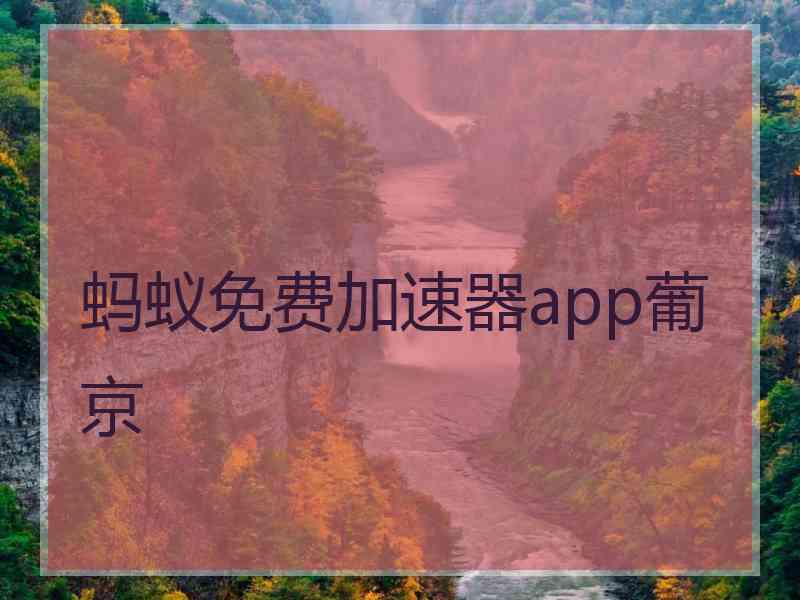 蚂蚁免费加速器app葡京