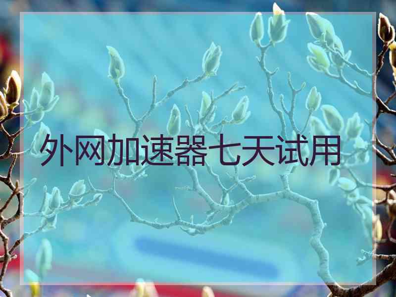 外网加速器七天试用