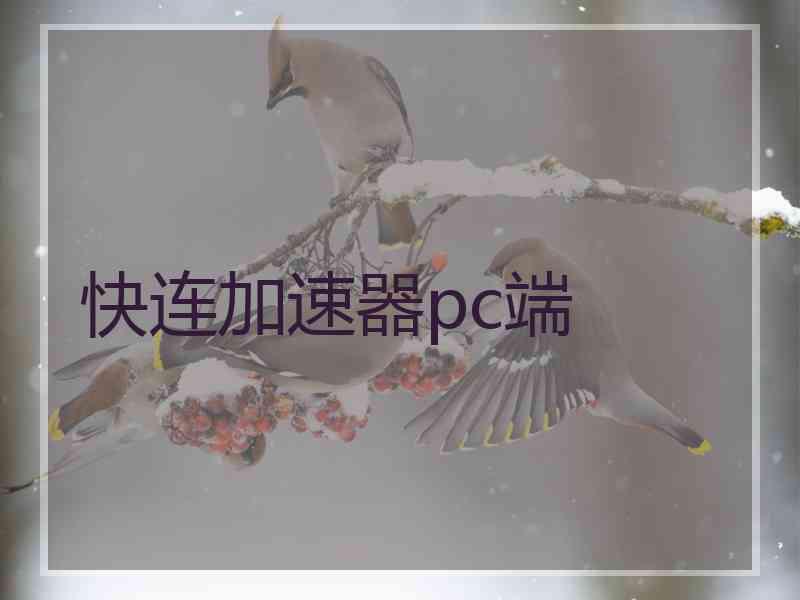 快连加速器pc端