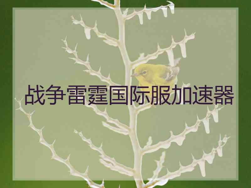 战争雷霆国际服加速器