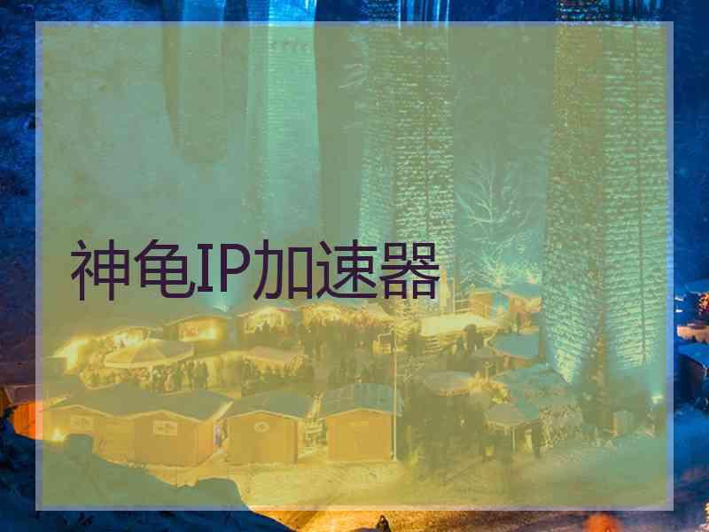 神龟IP加速器