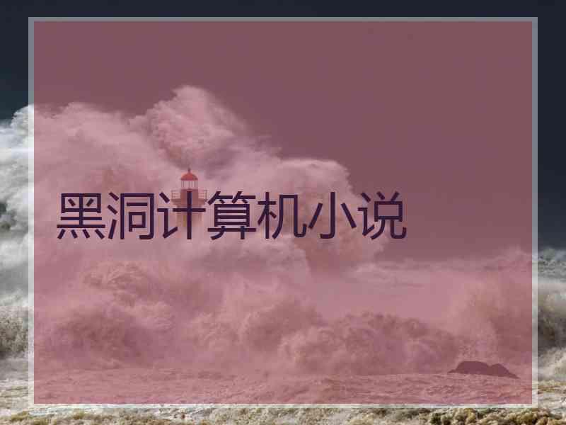 黑洞计算机小说