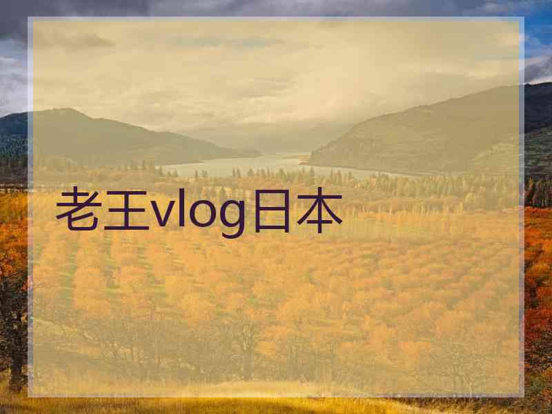 老王vlog日本