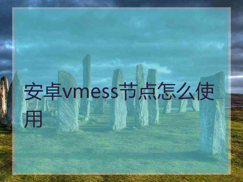 安卓vmess节点怎么使用