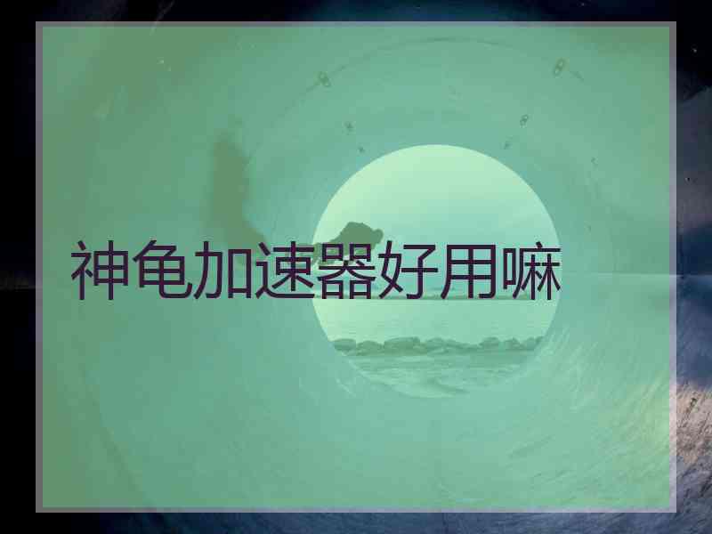 神龟加速器好用嘛