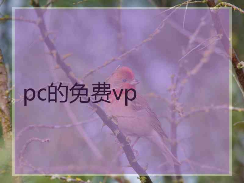 pc的免费vp