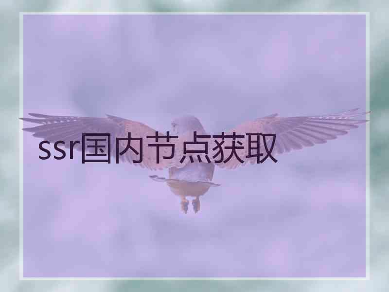 ssr国内节点获取