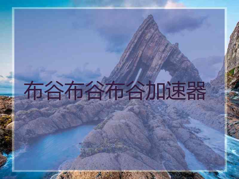 布谷布谷布谷加速器
