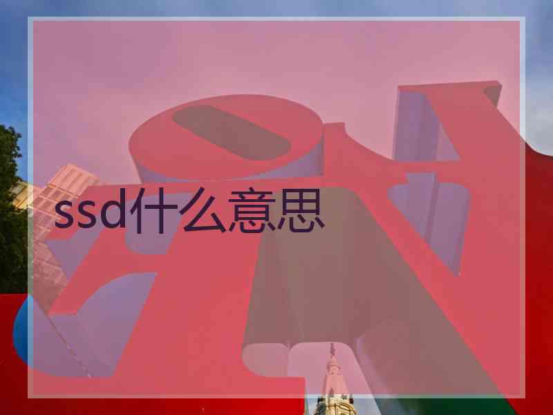ssd什么意思