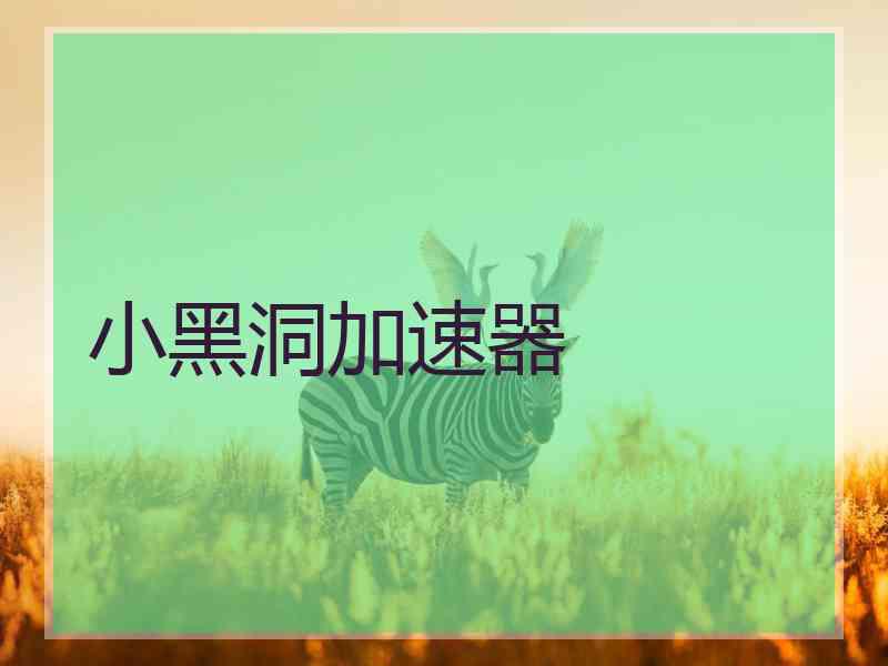 小黑洞加速器