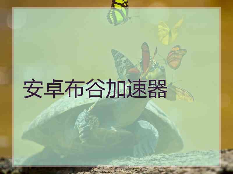 安卓布谷加速器