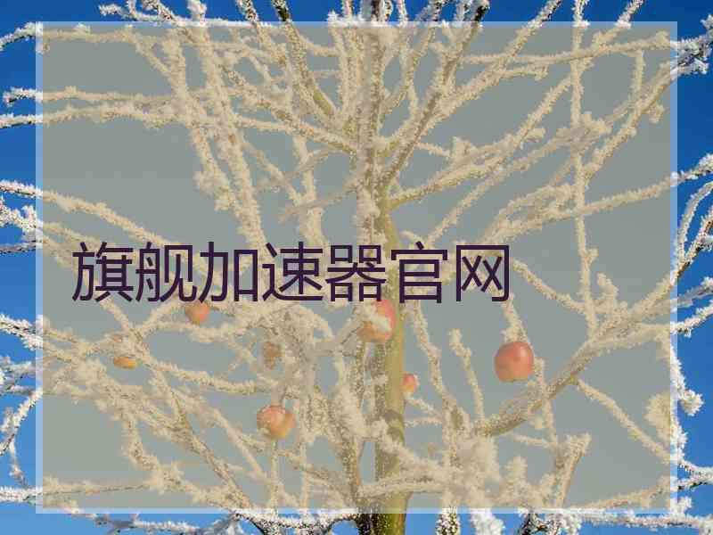 旗舰加速器官网