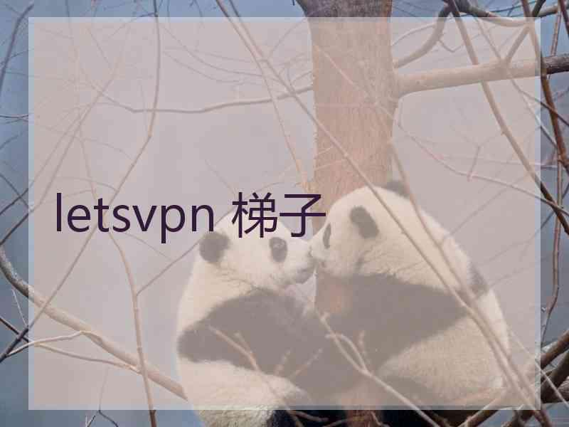 letsvpn 梯子