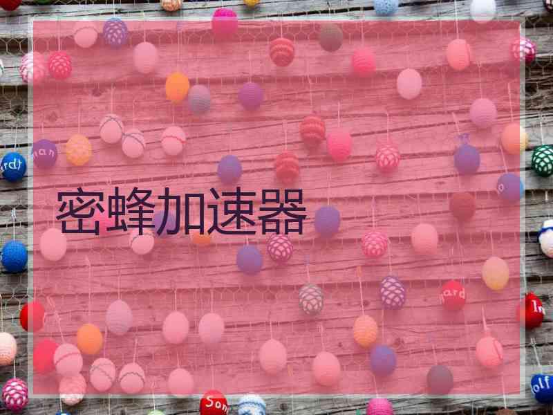 密蜂加速器